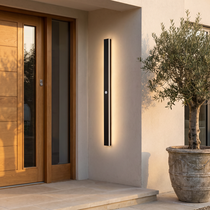 Outdoor wall lamp beside a contemporary front door